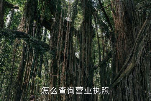 怎么查询营业执照