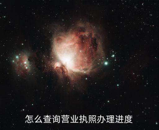 怎么查询营业执照办理进度