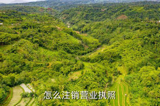 怎么注销营业执照