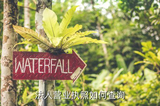 法人营业执照如何查询