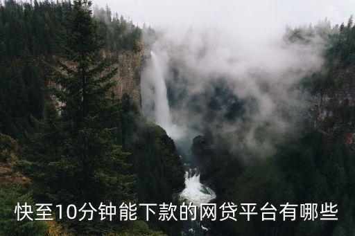 快至10分钟能下款的网贷平台有哪些