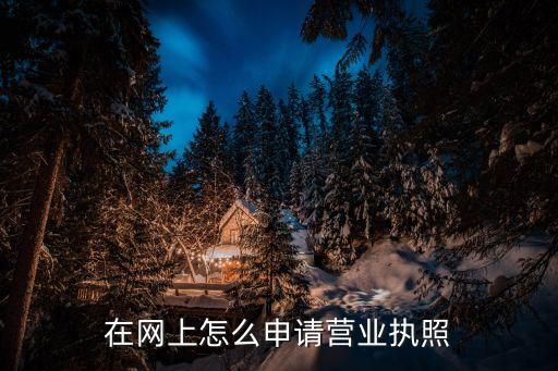 在网上怎么申请营业执照