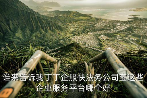 谁来告诉我丁丁企服快法务公司宝这些企业服务平台哪个好