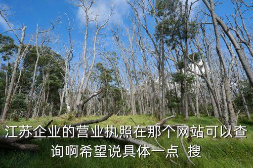 江苏企业的营业执照在那个网站可以查询啊希望说具体一点  搜