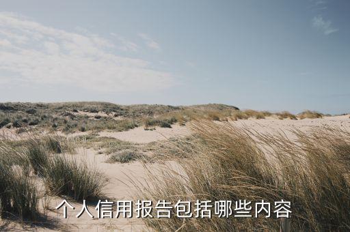 个人公共信用报告是什么，个人征信报告是什么