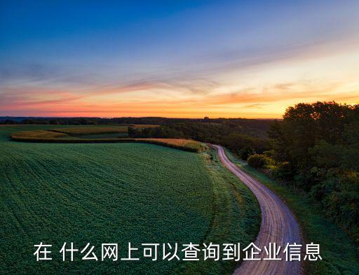 安徽企业信息公示网官网查询，安徽企业网