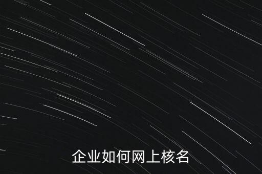 企业如何网上核名