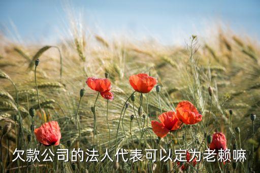 欠款公司的法人代表可以定为老赖嘛
