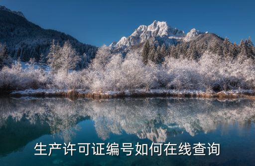 企业许可证号怎么查询，企业许可证号怎么查询