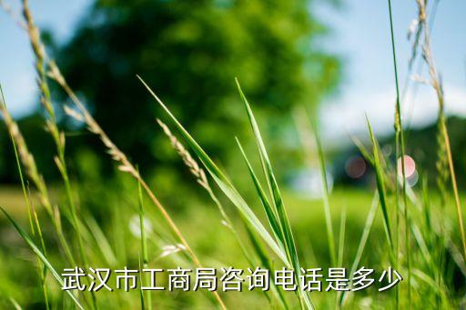 武汉市工商局咨询电话是多少