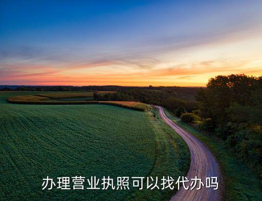 办理营业执照可以找代办吗