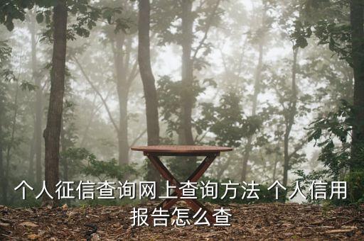 个人征信查询网上查询方法 个人信用报告怎么查
