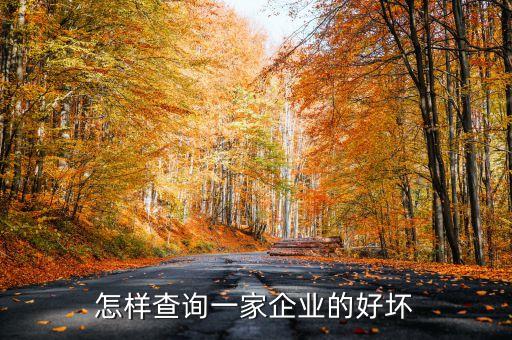 怎么查询一个公司好不好，怎样查询一家企业的好坏