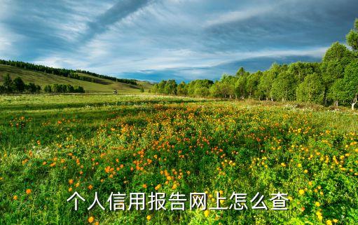 个人信用报告网上怎么查