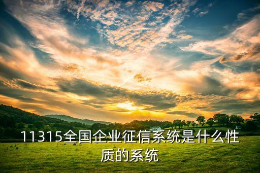 中国企业征信系统，11315全国企业征信系统为企业提供什么服务