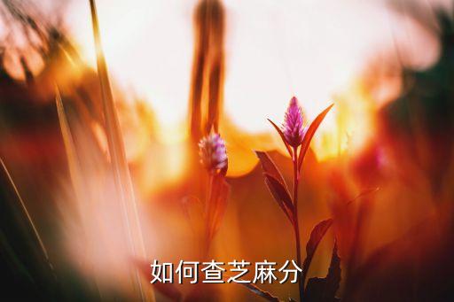 如何查芝麻分