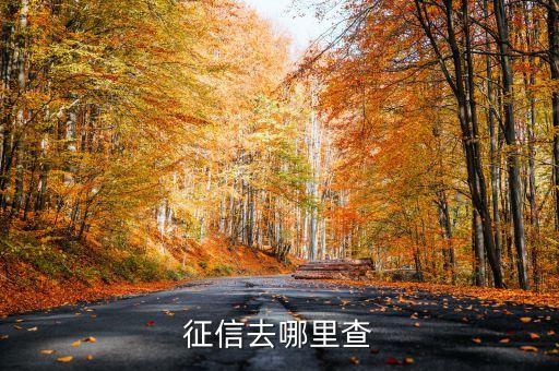 征信去哪里查