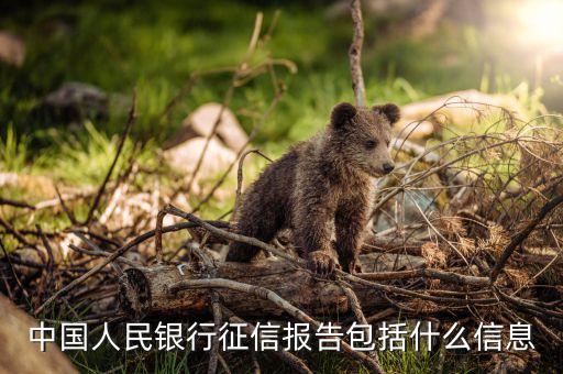 中国人民银行征信报告包括什么信息