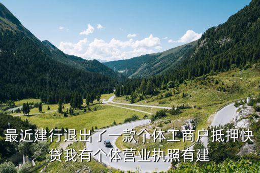 最近建行退出了一款个体工商户抵押快贷我有个体营业执照有建