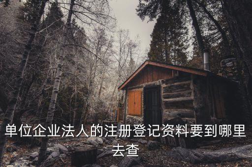 法人注册结果查询，企业法人代表查询