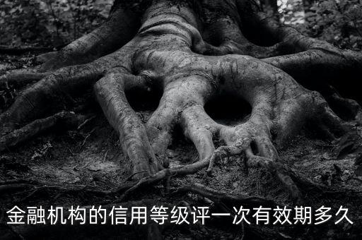企业主体信用评级有效期，金融机构的信用等级评一次有效期多久