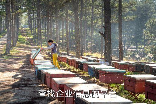 查找企业信息的平台
