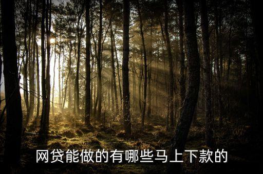 网贷能做的有哪些马上下款的