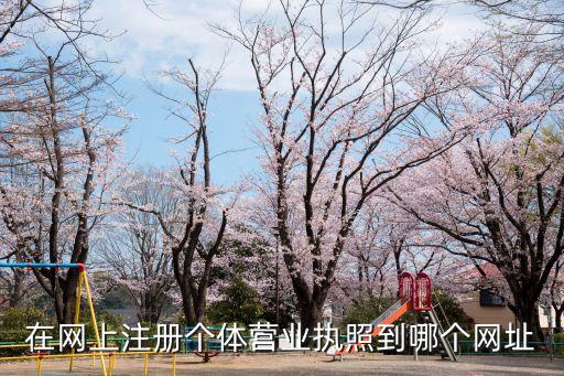 在网上注册个体营业执照到哪个网址