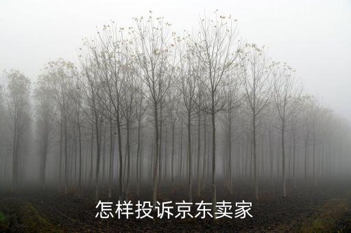投诉京东自营店最有效的方法，京东自营商品超72小时或者更多时间没发货如何有有效投诉  搜