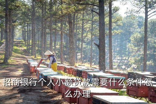 招商银行个人小额贷款需要什么条件怎么办理