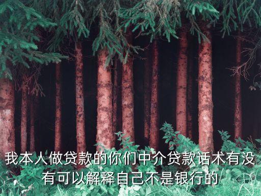 我本人做贷款的你们中介贷款话术有没有可以解释自己不是银行的