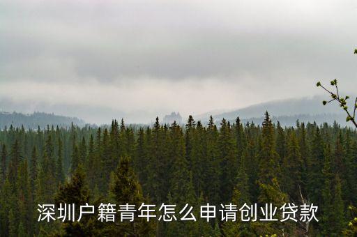 深圳户籍青年怎么申请创业贷款