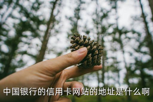 中国信用网官网，中国银行信用卡中心的网址是多少