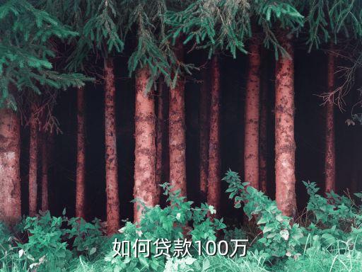 企业怎么贷款100万，100万贷款怎样贷