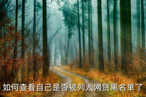 如何查看自己是否被列入网贷黑名单了