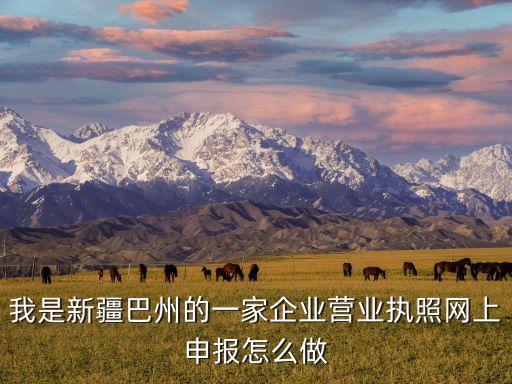 新疆营业执照网上申报入口网址，我是新疆巴州的一家企业营业执照网上申报怎么做