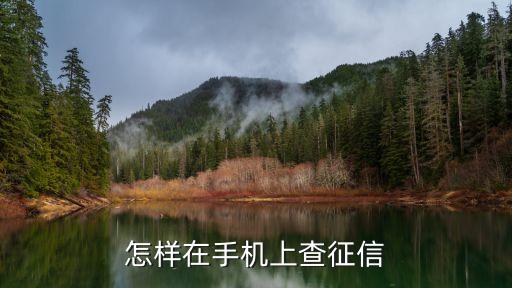 手机在哪查征信，手机上怎样查询征信报告