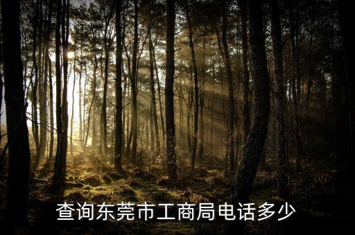 东莞市工商咨询服务中心，东莞市寮步镇工商局咨询电话是多少