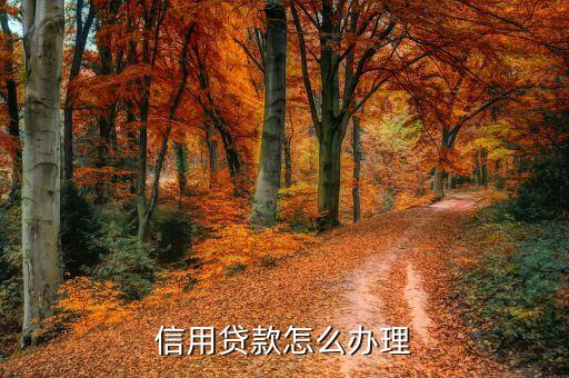 信用贷款怎么办理