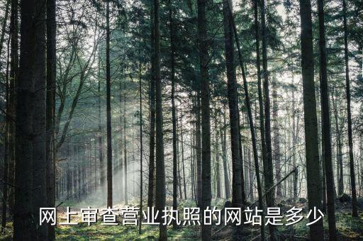 网上审查营业执照的网站是多少