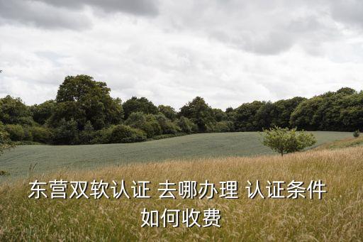 双软认证一般多少钱，南京双软认证费用大约是多少