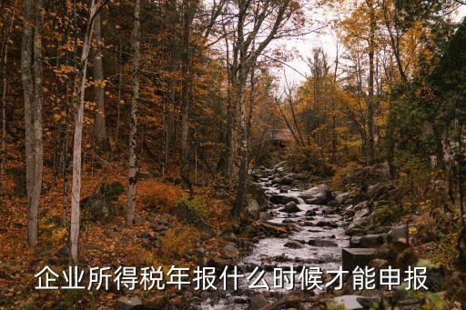 企业所得税年报什么时候才能申报