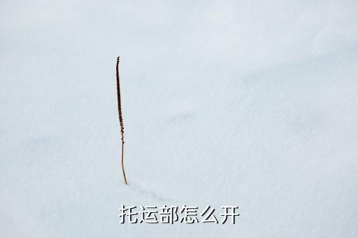 托运部怎么开