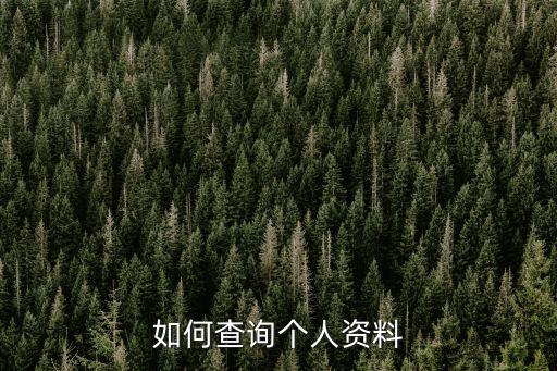 个人资料怎么查，个人资料如何查询