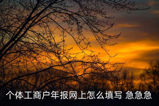 个体工商户年报网上怎么填写 急急急