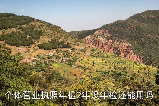 个体营业执照年检2年没年检还能用吗