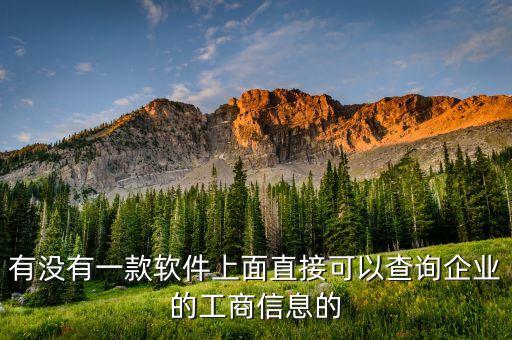 有没有一款软件上面直接可以查询企业的工商信息的