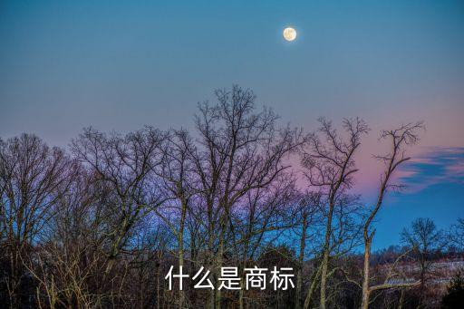 什么是商标