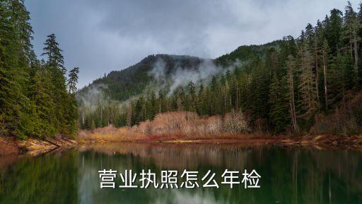 营业执照怎么年检