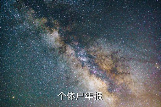 个体户年报